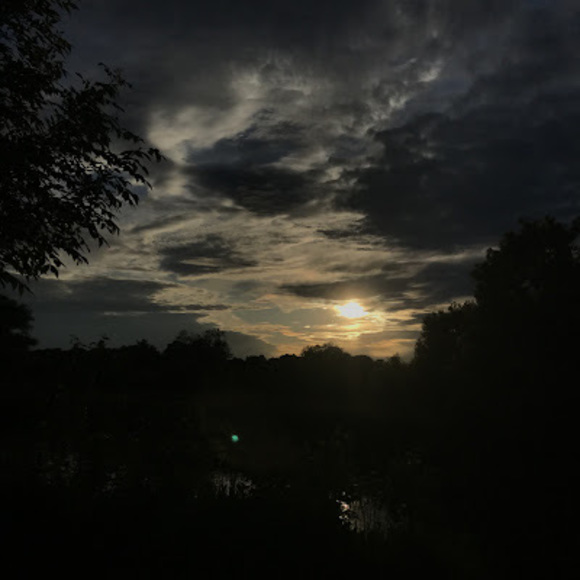 Meet your Posher, Chloe - Picture 1 of 1